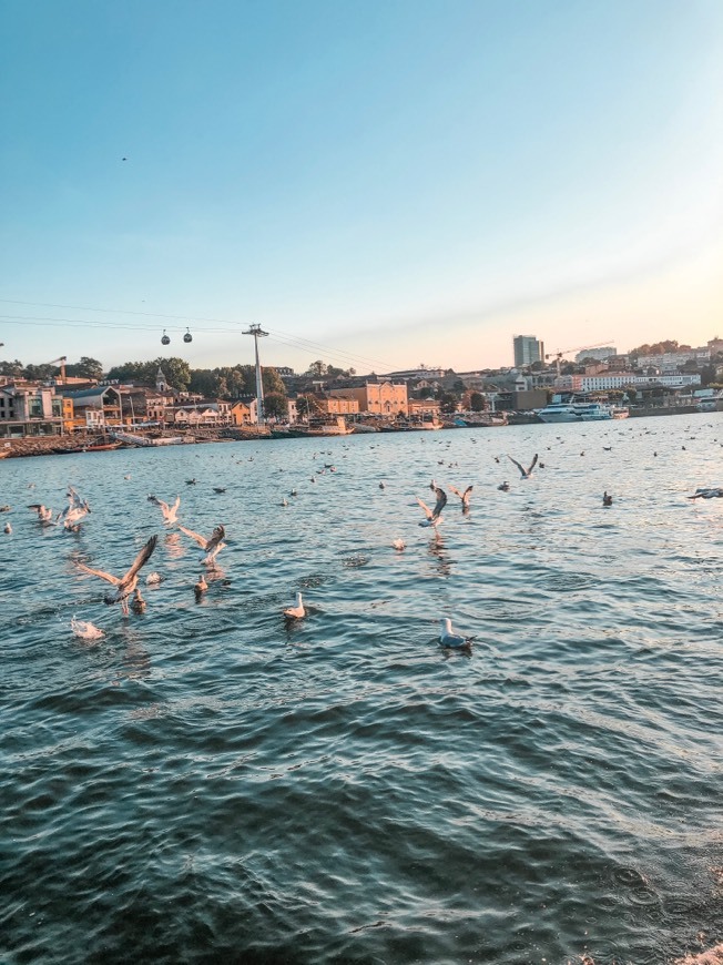 Lugar Ribeira