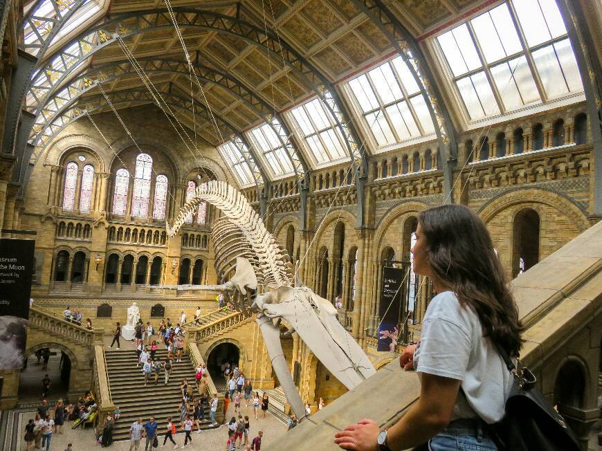 Place Natural History Museum