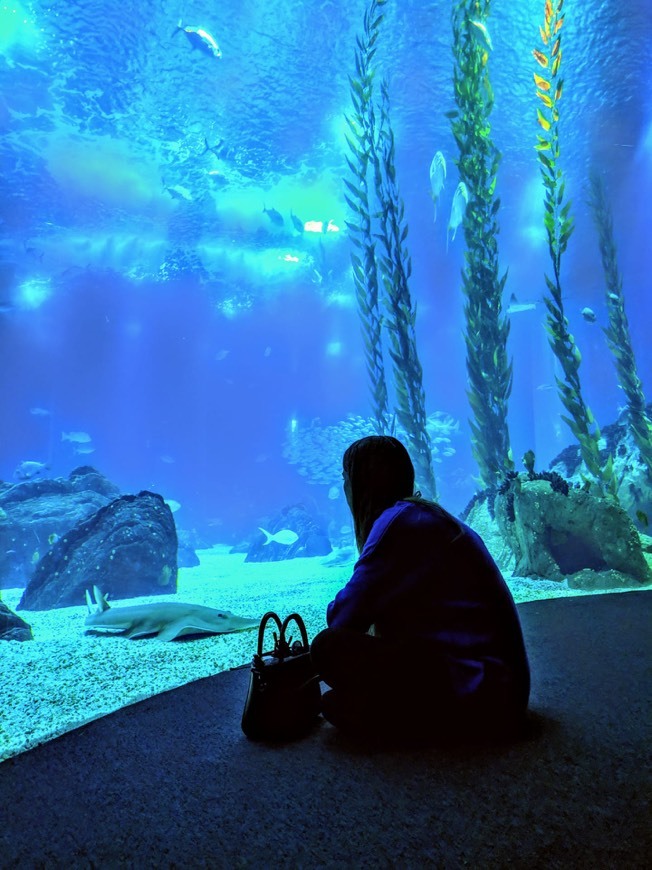 Place Oceanario de Lisboa