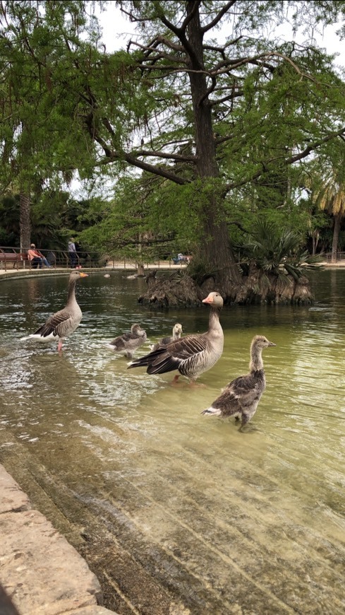 Place Parque de la Ciudadela