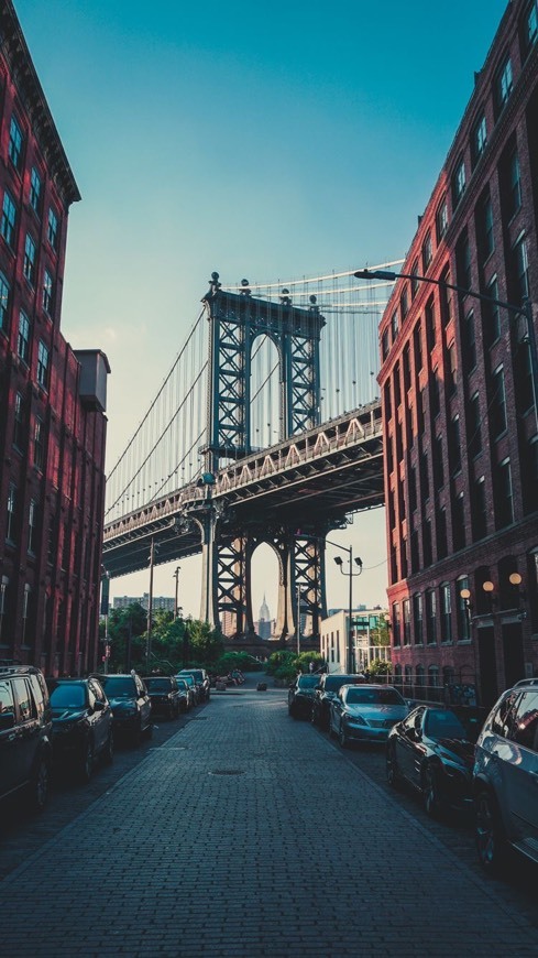 Social Brooklyn 