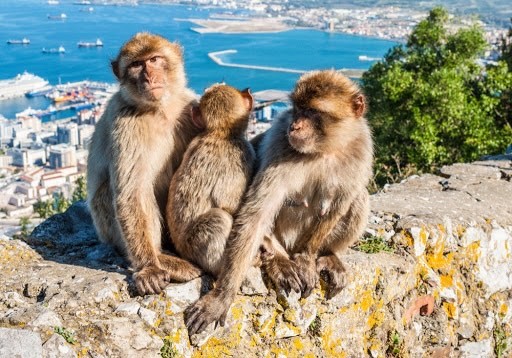 Place Gibraltar Nature Reserve