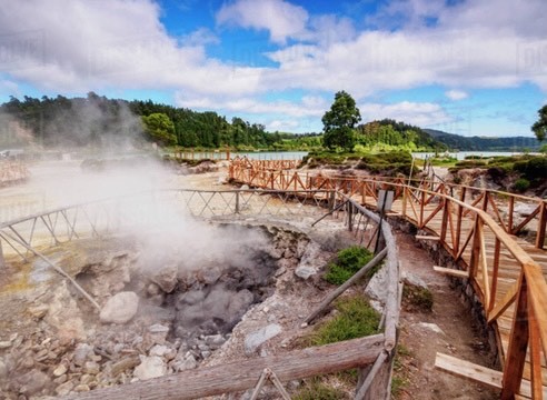 Furnas