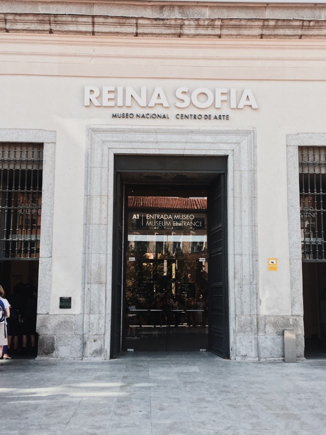 Place Museo Nacional Centro de Arte Reina Sofía