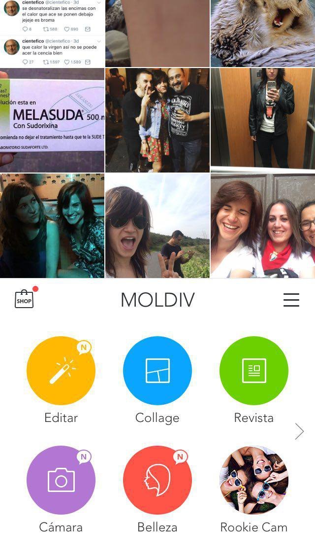 MOLDIV