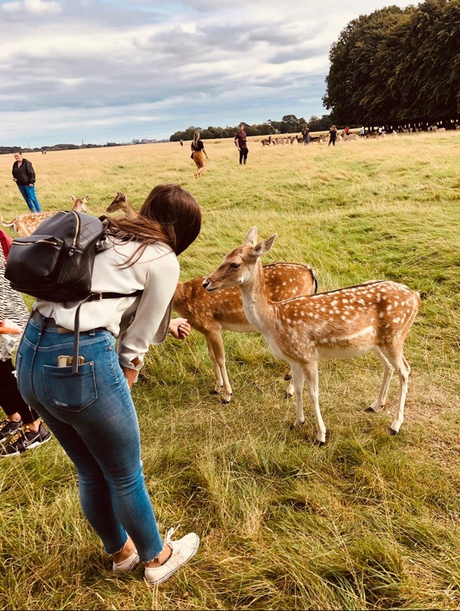 Lugar Phoenix Park