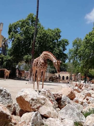 Jardim Zoológico de Lisboa