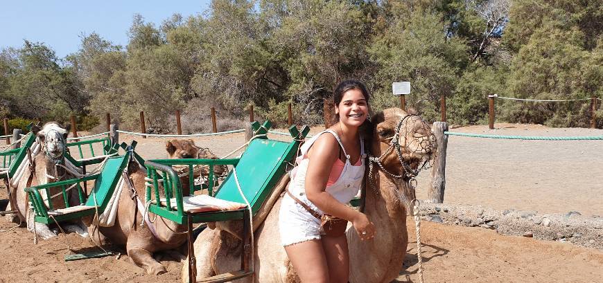 Moda Passeio de camelo nas Dunas de Maspalomas 