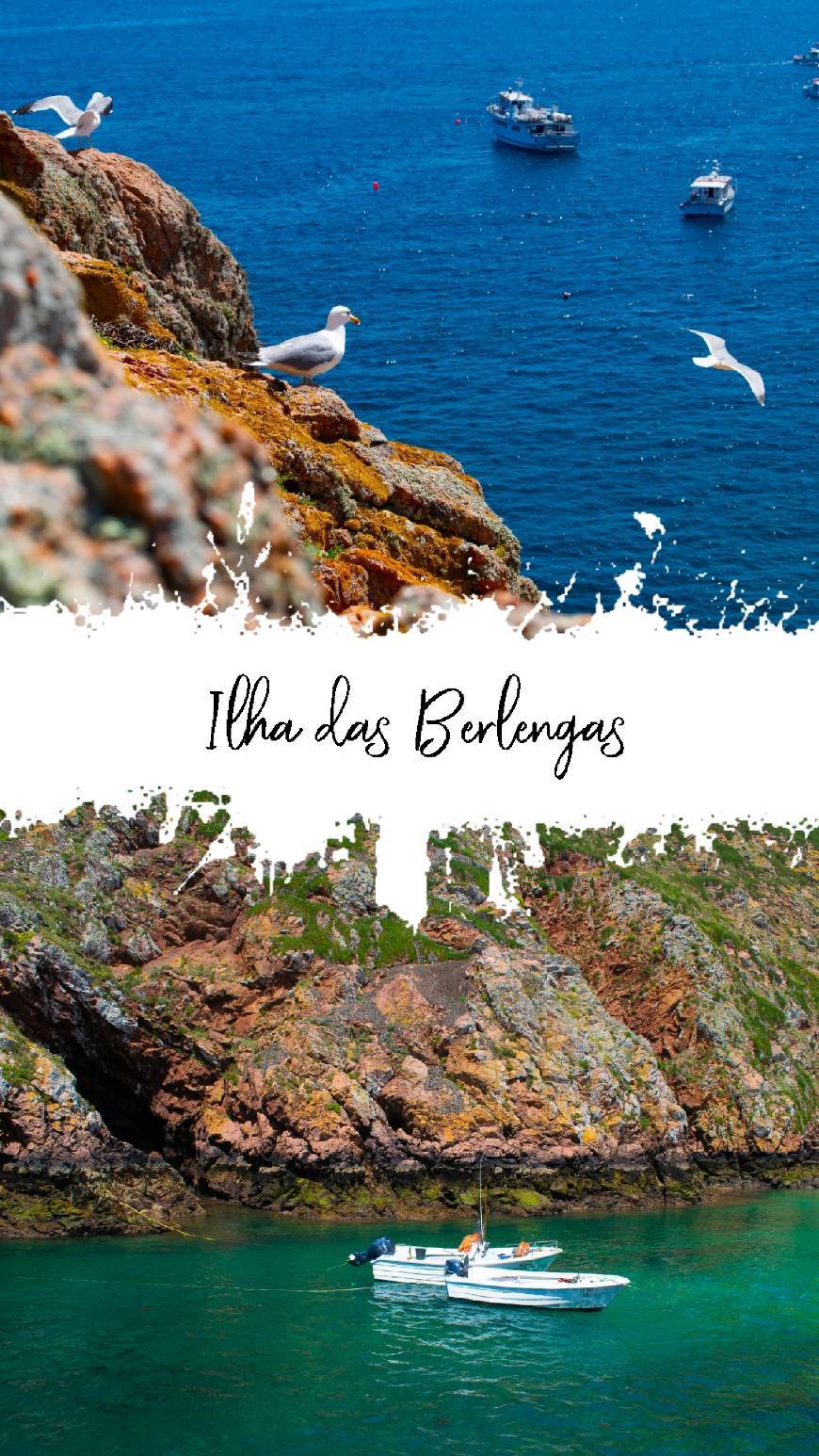 Lugar Berlengas Natural Reserve