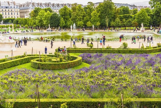 Jardin des Tuileries