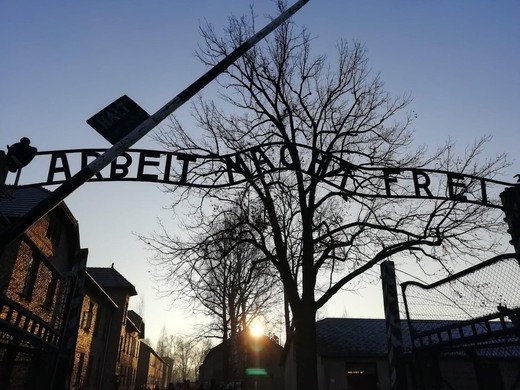 Campo de Auschwitz