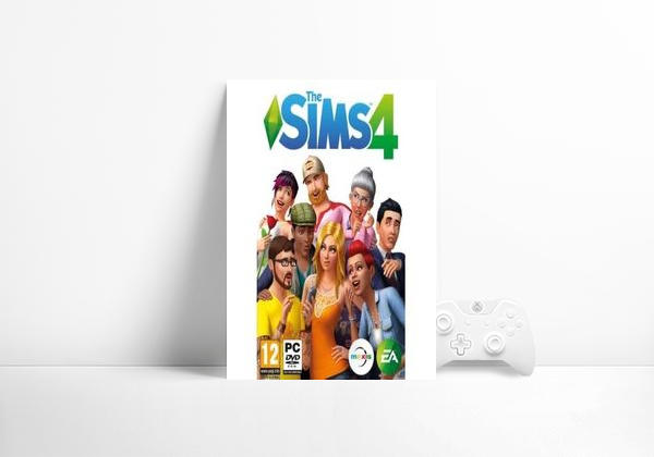 Videogame My Sims
