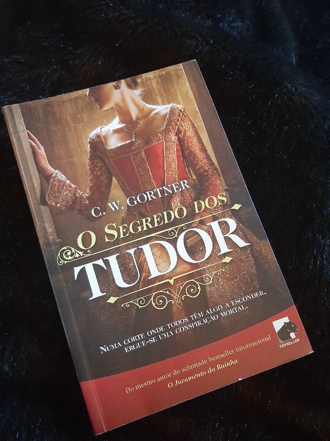 Book O Segredo dos Tudor de G.W