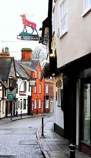 Hitchin