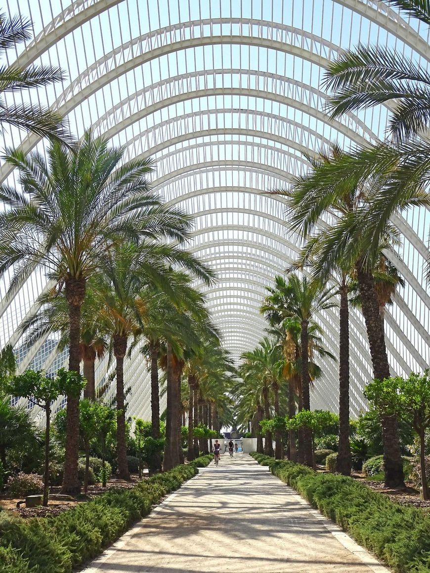 Lugar L'Umbracle