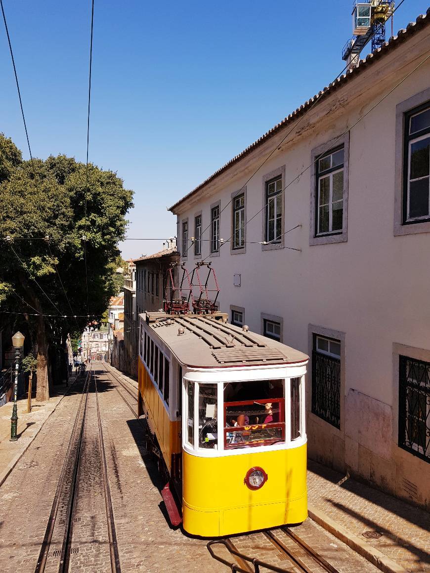 Lugar Elevador da Glória