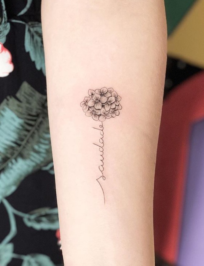 Social Rose Prophet (Miguel Rosa) 