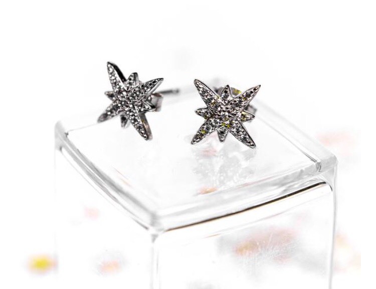 Social Brincos Sirius II