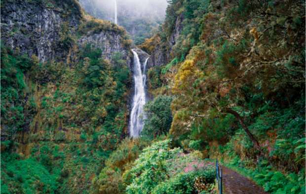 Lugar Levada das 25 Fontes (rear exit / tunnel)