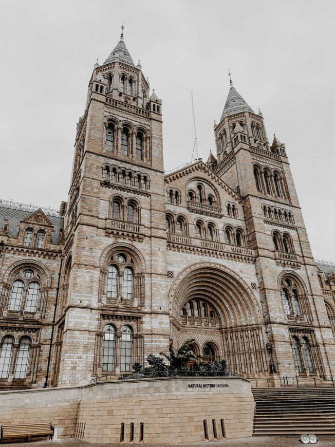 Place Natural History Museum