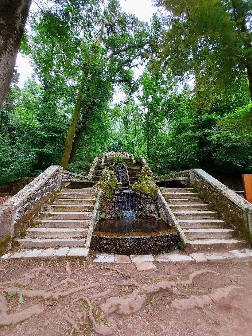 Lugar Serra do Buçaco