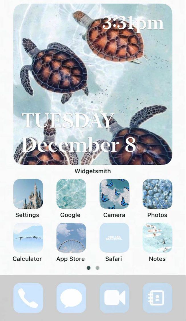 Social Organização 