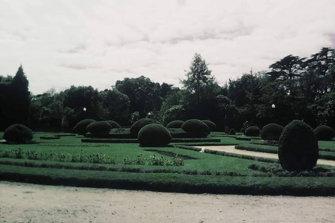 Place Jardins do Palácio de Cristal