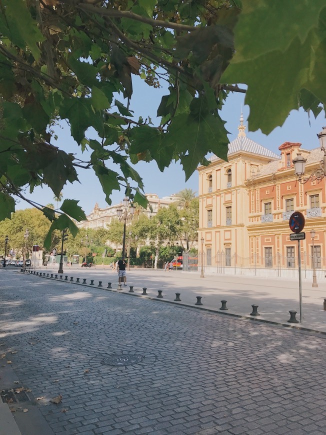 Lugar Santa Cruz, Seville