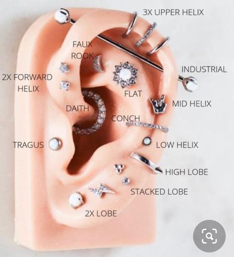 nome dos piercings na orelha