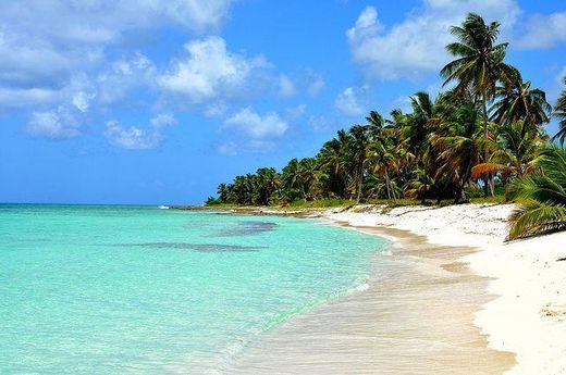 Isla Saona