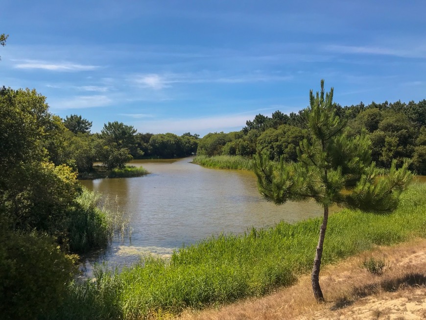 Lugar Reserva Natural das Dunas de São Jacinto