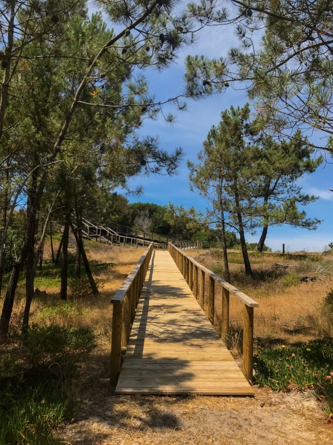 Place Reserva Natural das Dunas de São Jacinto