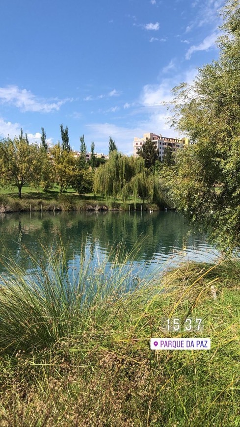 Place Parque da Paz