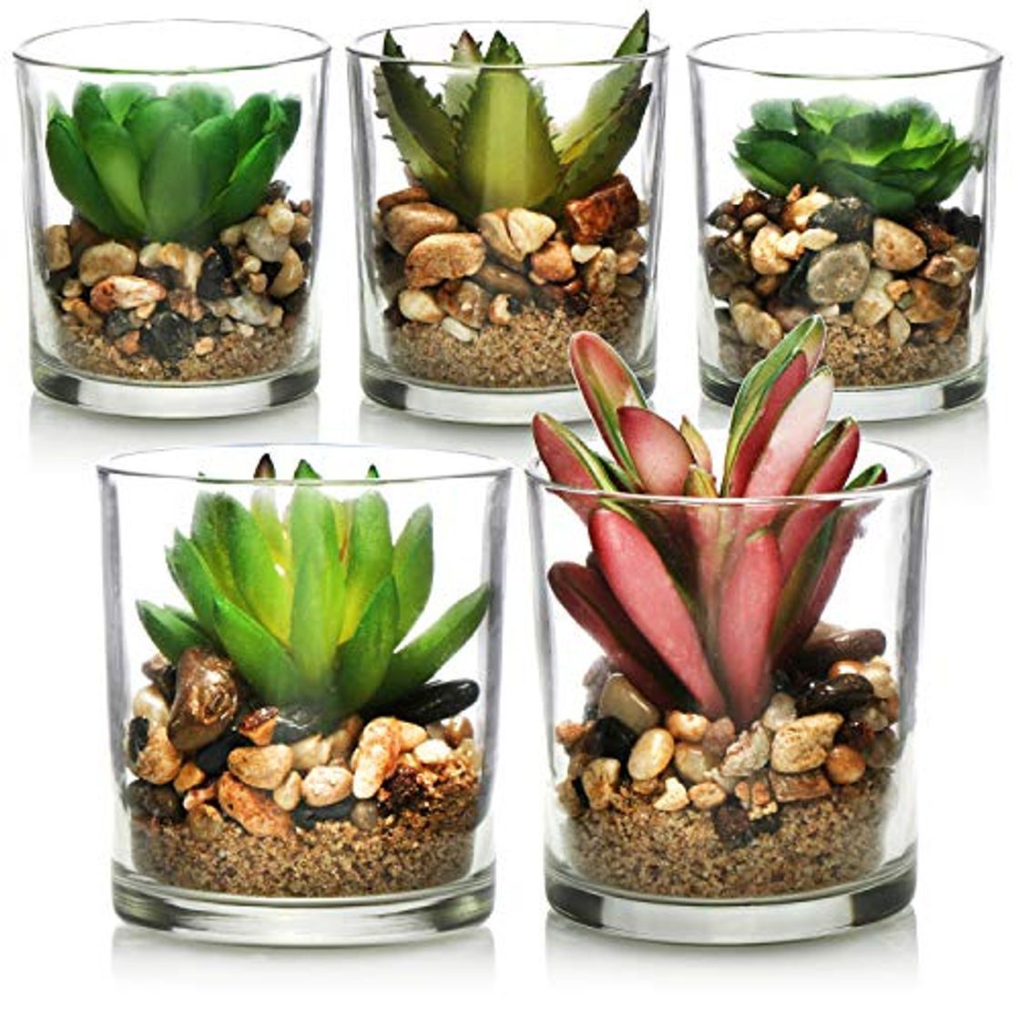 Productos com-four® Planta Artificial 5X - en Vidrio Decorativo - suculentas Artificiales -