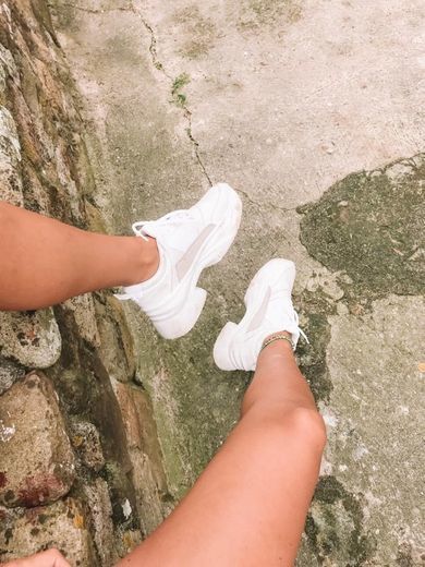 Social Zapatillas