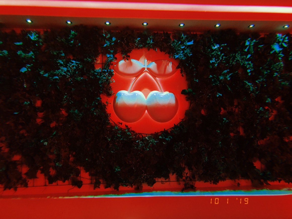 Pacha 