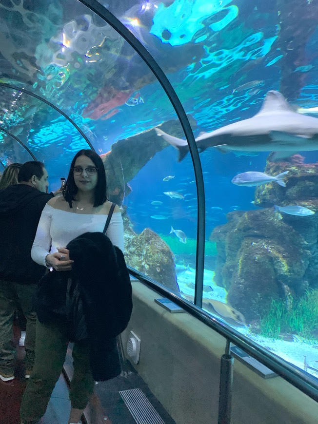 Lugar Aquarium de Barcelona