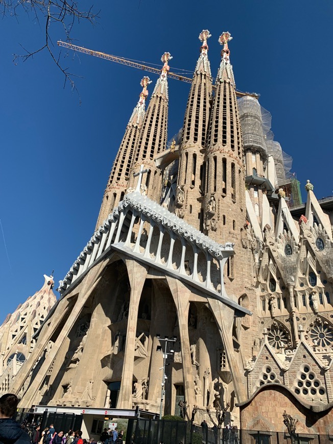 Lugar Basílica Sagrada Familia