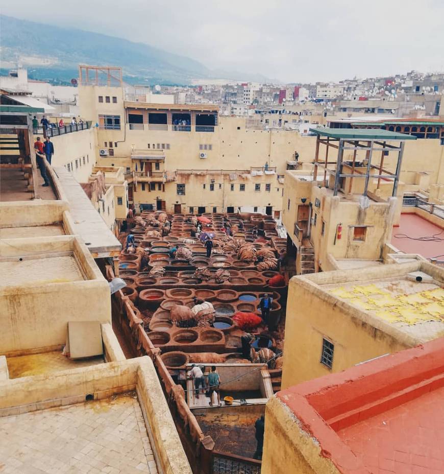 Place Tannery Sidi Moussa