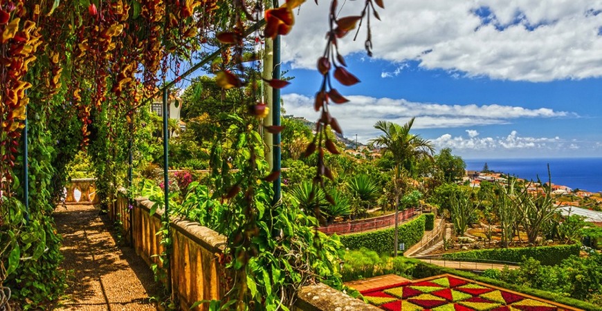 Moda Jardim Botânico da Madeira