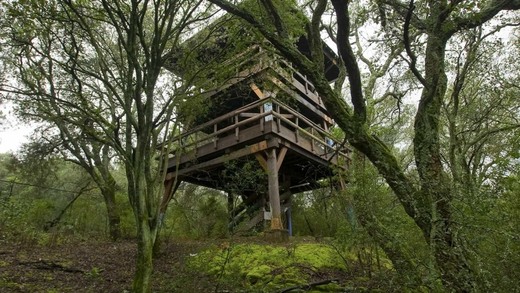 Parque Florestal do Monsanto