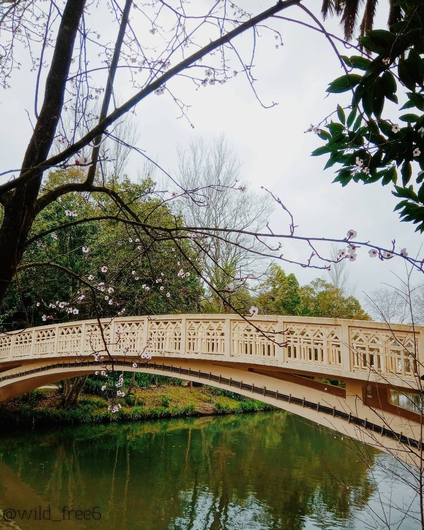 Lugar Parque Dom Pedro Infante - City Park