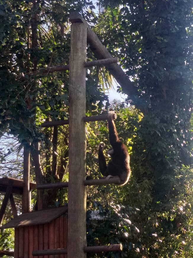 Lugar Zoo da Maia