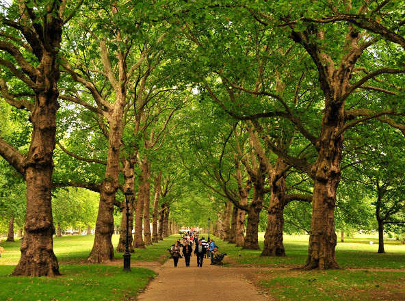 Moda St. James park 