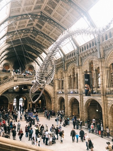 Natural History Museum