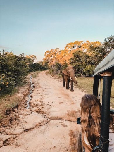 Sri Lanka