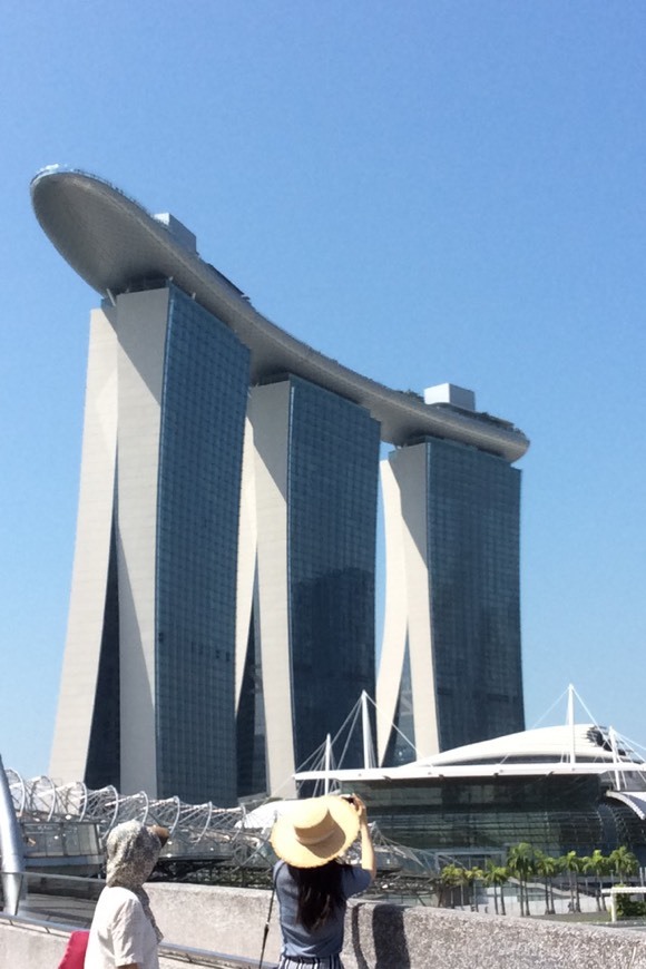 Place Marina Bay Sands