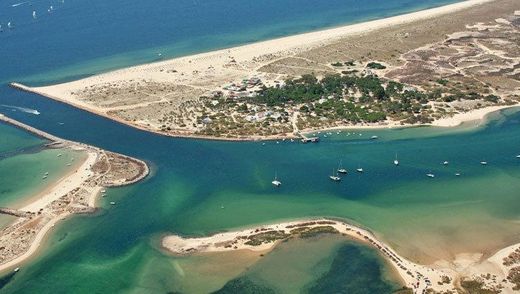 Ilha de Tavira