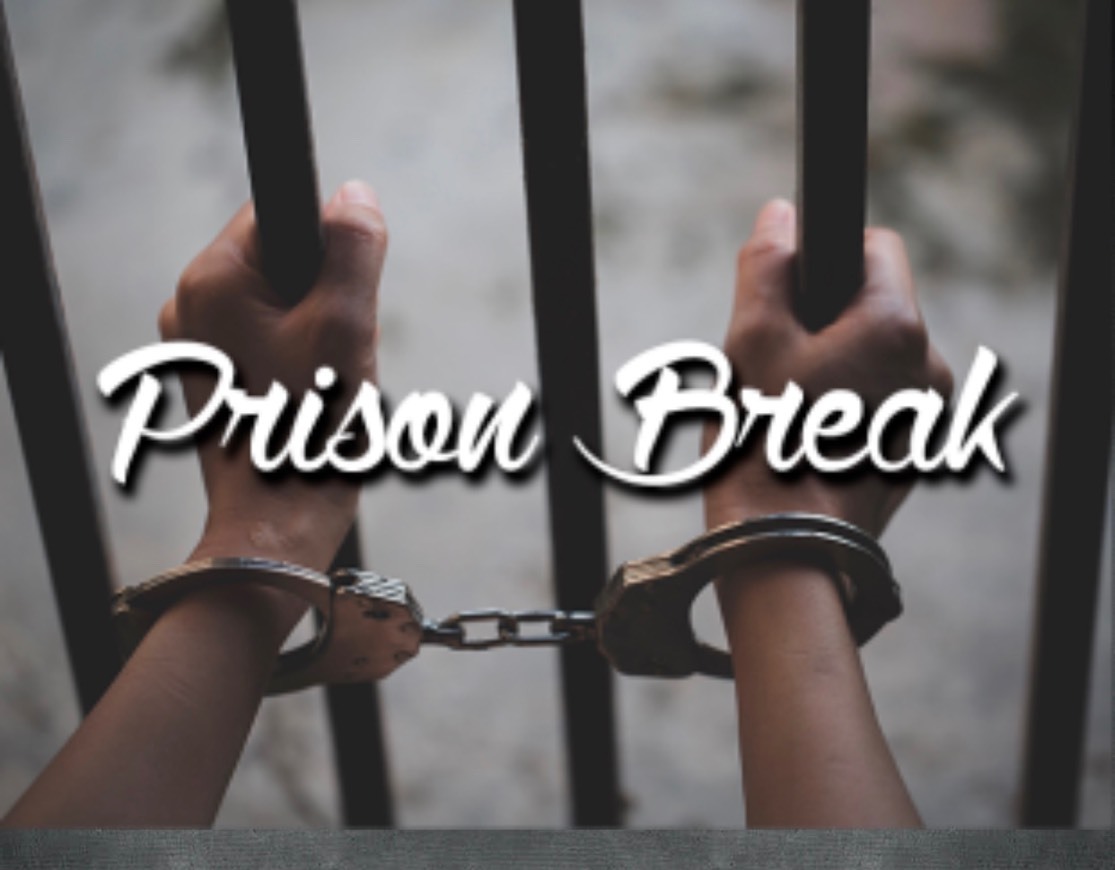 Fashion Prison Break