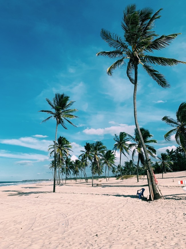 Fortaleza
